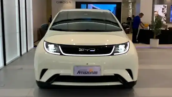 Foto de um byd dolphin