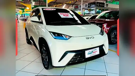 Foto de um byd dolphin mini