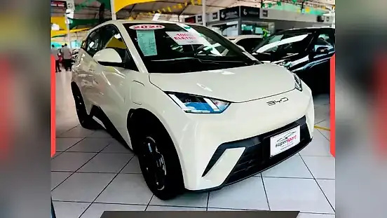 Foto de um byd dolphin mini
