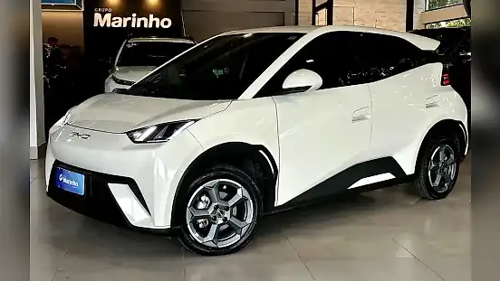 Foto de um byd dolphin mini