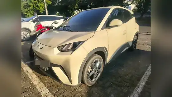 Foto de um byd dolphin mini