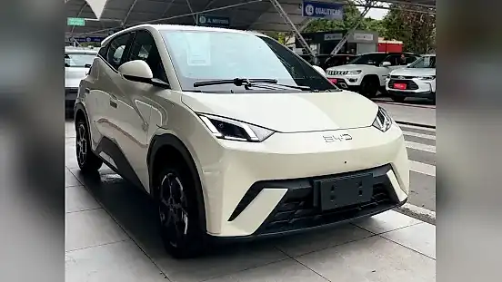 Foto de um byd dolphin