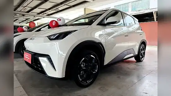 Foto de um byd dolphin mini