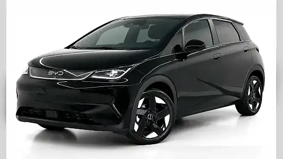 Foto de um byd dolphin