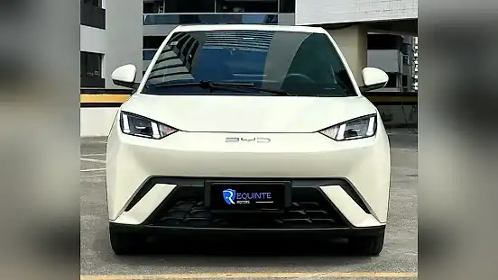 Foto de um byd dolphin mini