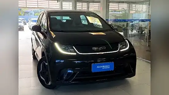 Foto de um byd dolphin