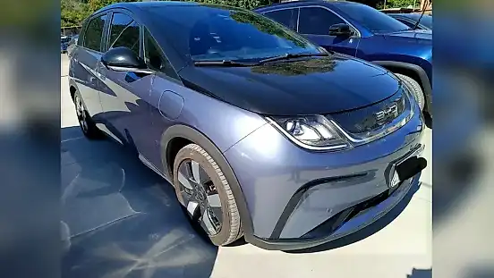 Foto de um byd dolphin plus