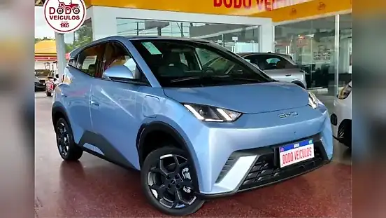 Foto de um byd dolphin mini