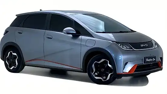 Foto de um byd dolphin