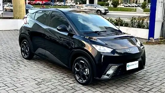 Foto de um byd dolphin mini