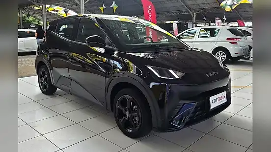 Foto de um byd dolphin mini