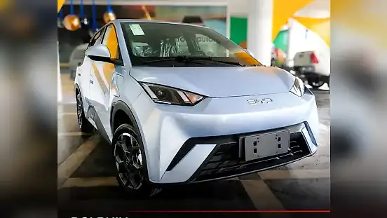 Foto de um byd dolphin mini