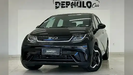 Foto de um byd dolphin