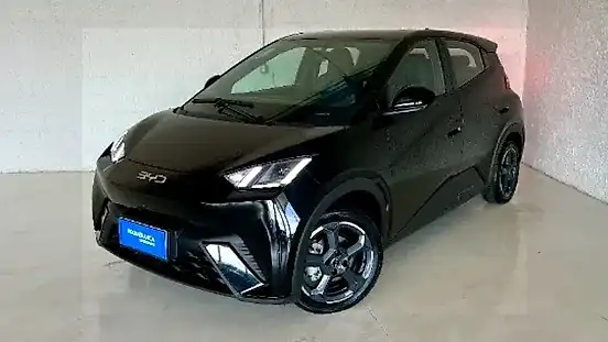 Foto de um byd dolphin mini