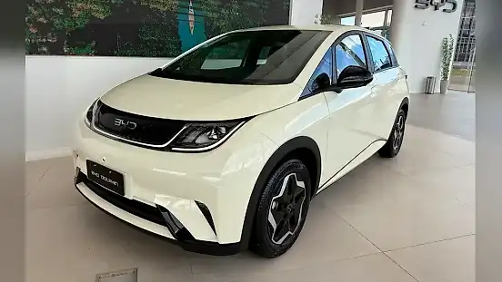 Foto de um byd dolphin