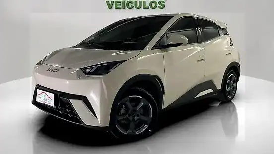 Foto de um byd dolphin mini