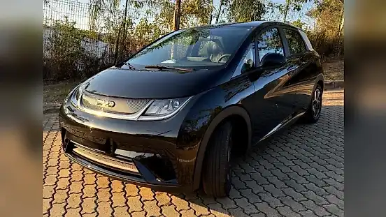 Foto de um byd dolphin