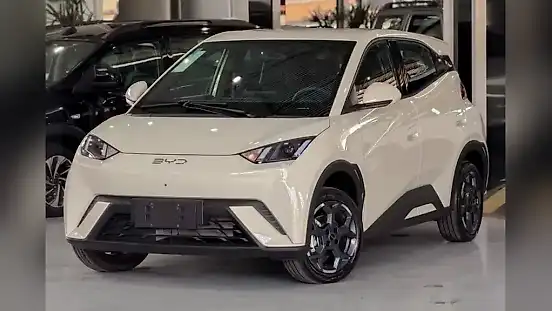 Foto de um byd dolphin