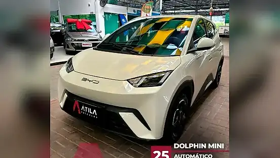 Foto de um byd dolphin mini