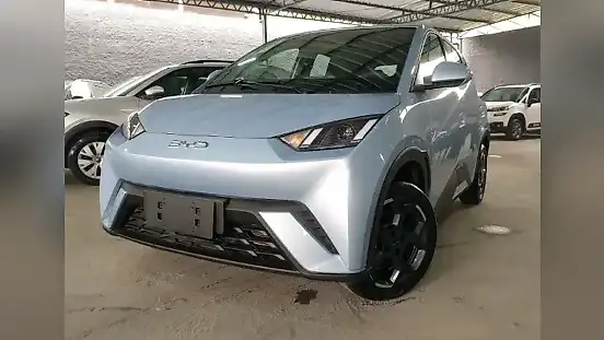 Foto de um byd dolphin mini