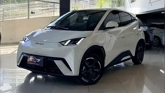 Foto de um byd dolphin