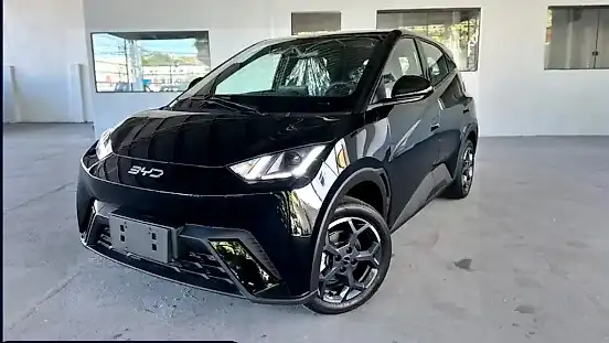 Foto de um byd dolphin mini