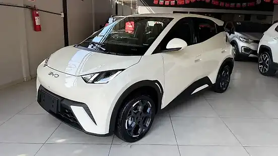 Foto de um byd dolphin mini
