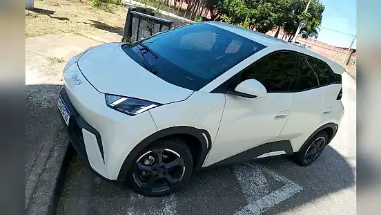 Foto de um byd dolphin mini