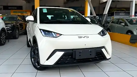 Foto de um byd dolphin