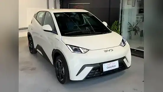 Foto de um byd dolphin mini