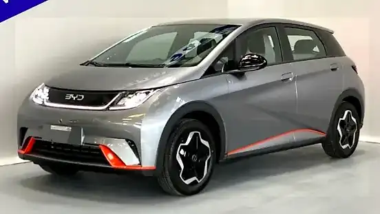 Foto de um byd dolphin