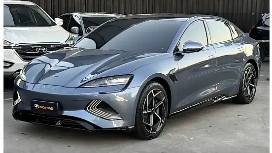 Foto de um byd seal