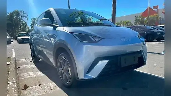 Foto de um byd dolphin mini