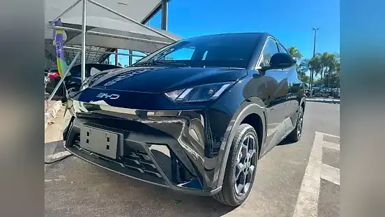 Foto de um byd dolphin mini