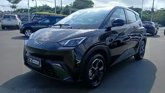 Foto de um byd dolphin
