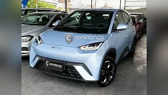 Foto de um byd dolphin mini
