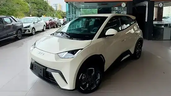 Foto de um byd dolphin mini