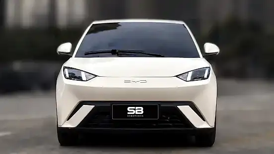 Foto de um byd dolphin mini