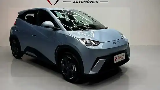 Foto de um byd dolphin