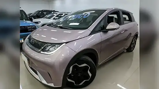 Foto de um byd dolphin