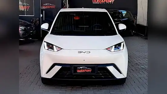 Foto de um byd dolphin mini