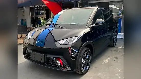 Foto de um byd dolphin mini
