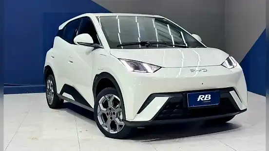Foto de um byd dolphin mini