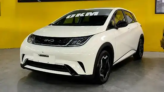 Foto de um byd dolphin