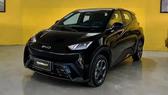 Foto de um byd dolphin mini