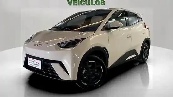 Foto de um byd dolphin