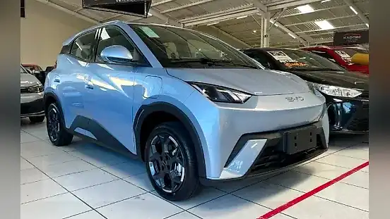 Foto de um byd dolphin mini
