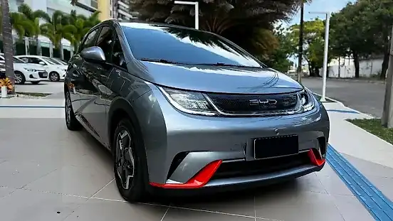 Foto de um byd dolphin