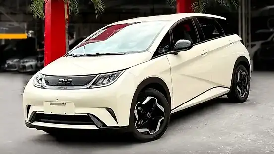 Foto de um byd dolphin
