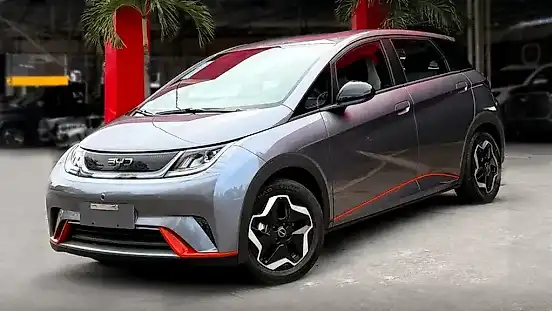 Foto de um byd dolphin